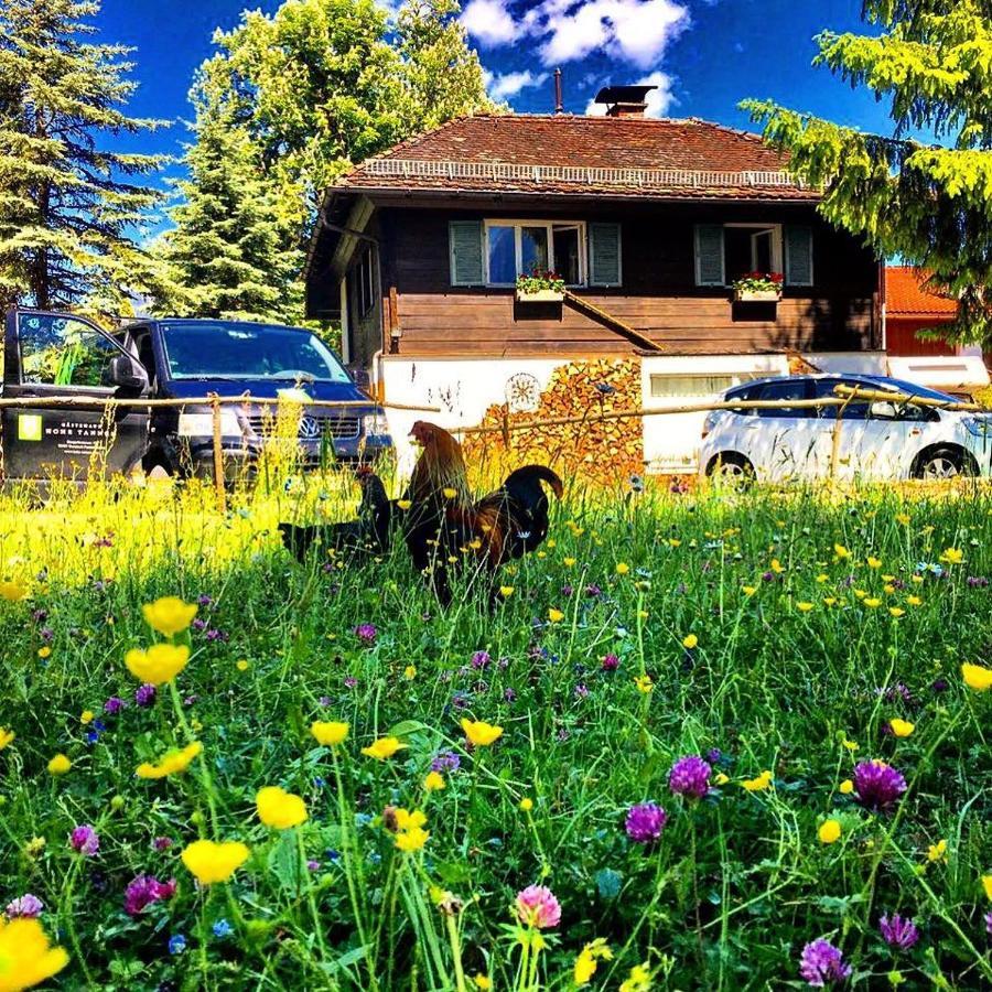 Gastehaus Hohe Tannen Hotell Garmisch-Partenkirchen Eksteriør bilde